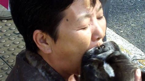 asian sucks dog|Sexy Asian girls are sucking dogs and drinking sperm with love